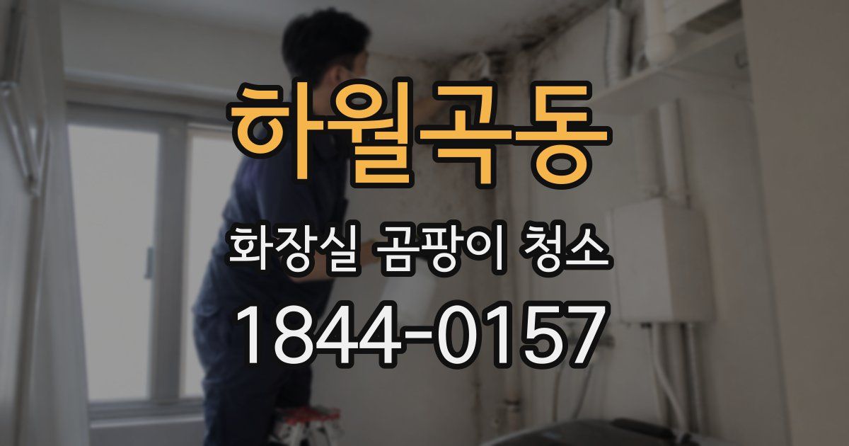 하월곡동 화장실 곰팡이 청소