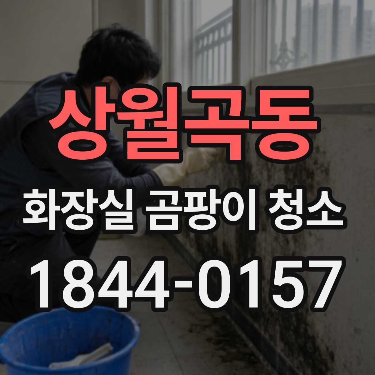 상월곡동 화장실 곰팡이 청소