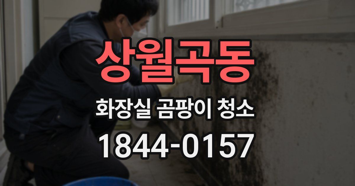 상월곡동 화장실 곰팡이 청소