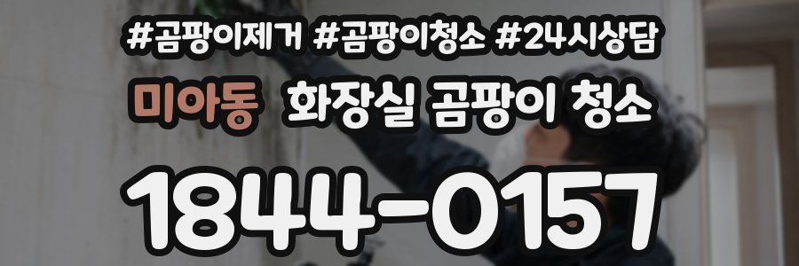 미아동 화장실 곰팡이 청소