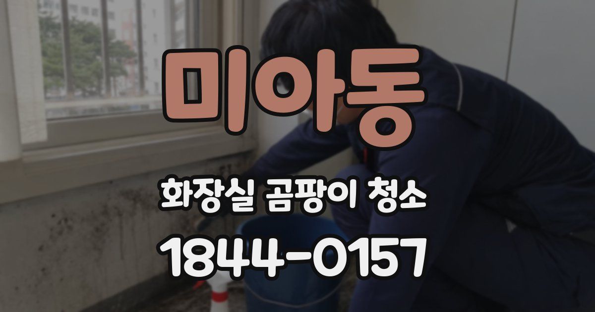 미아동 화장실 곰팡이 청소
