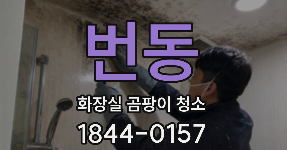 번동 화장실 곰팡이 청소