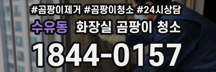 수유동 화장실 곰팡이 청소