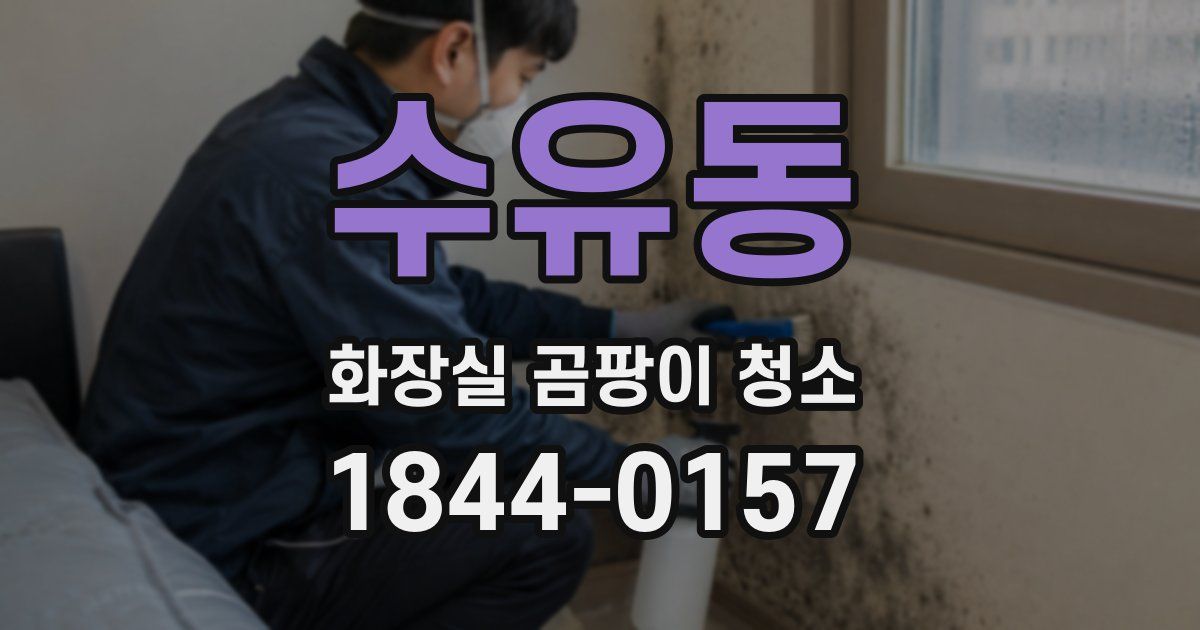 수유동 화장실 곰팡이 청소