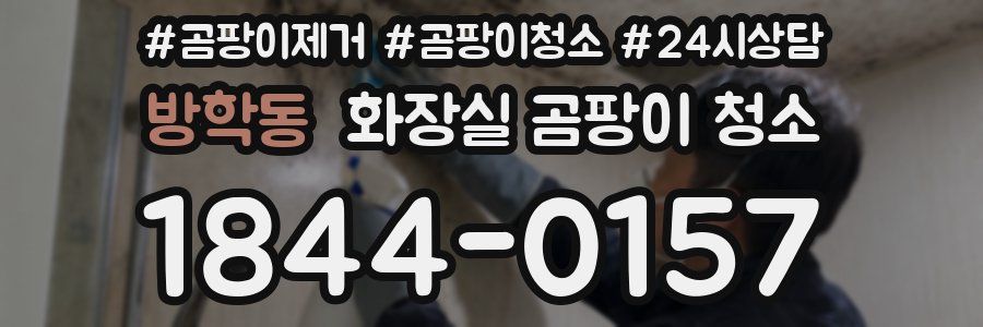 방학동 화장실 곰팡이 청소