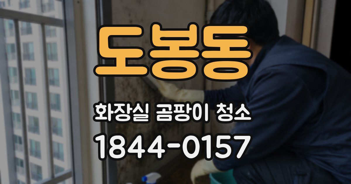 도봉동 화장실 곰팡이 청소