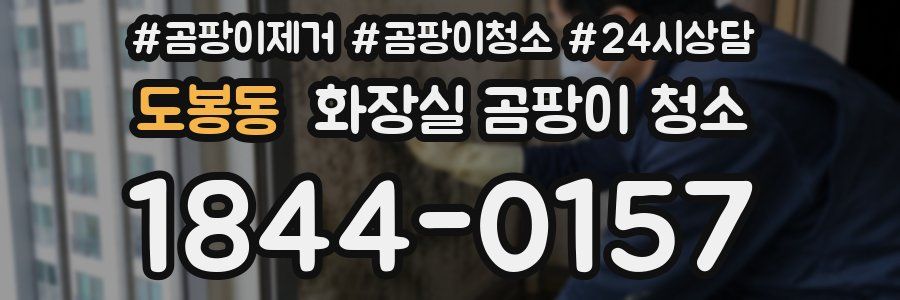 도봉동 화장실 곰팡이 청소