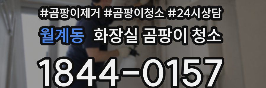 월계동 화장실 곰팡이 청소