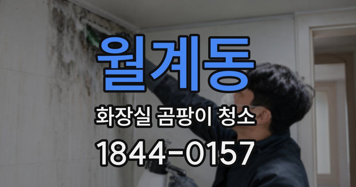 월계동 화장실 곰팡이 청소