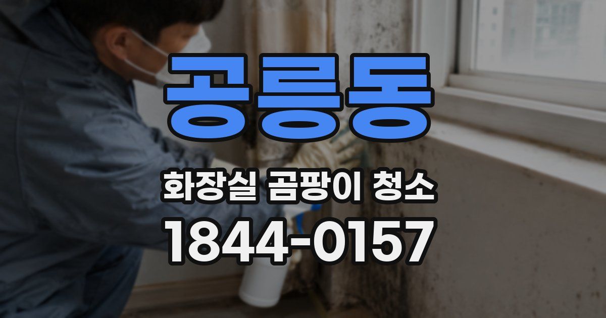 공릉동 화장실 곰팡이 청소