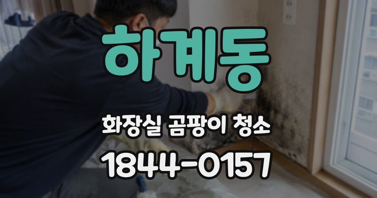 하계동 화장실 곰팡이 청소