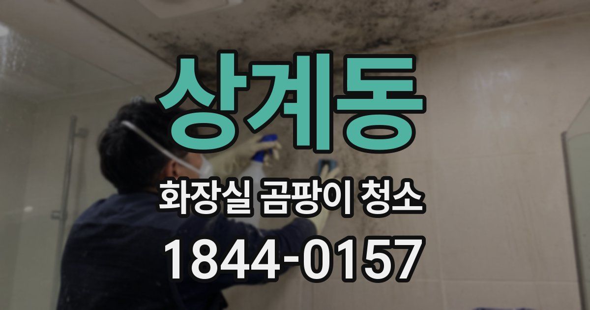 상계동 화장실 곰팡이 청소