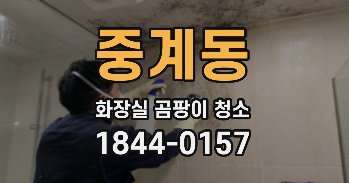 중계동 화장실 곰팡이 청소