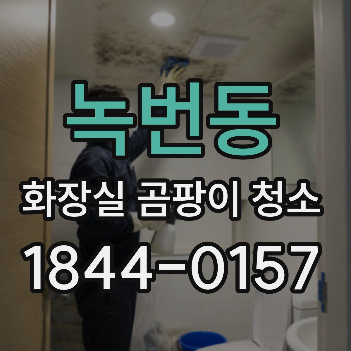 녹번동 화장실 곰팡이 청소