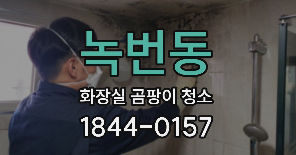 녹번동 화장실 곰팡이 청소