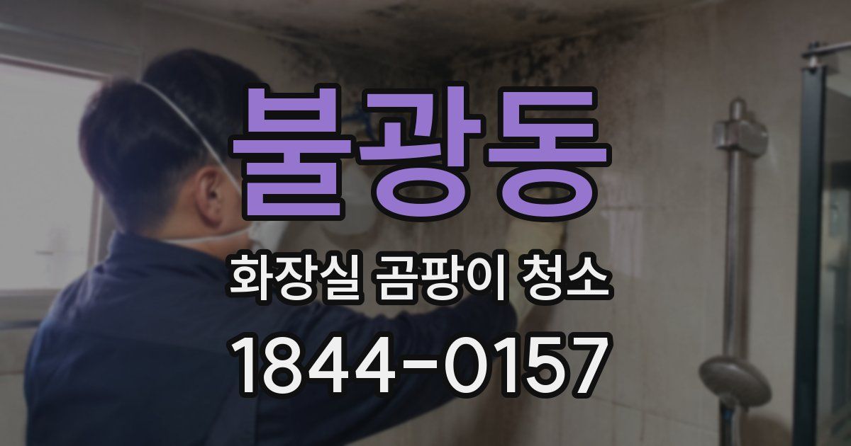 불광동 화장실 곰팡이 청소