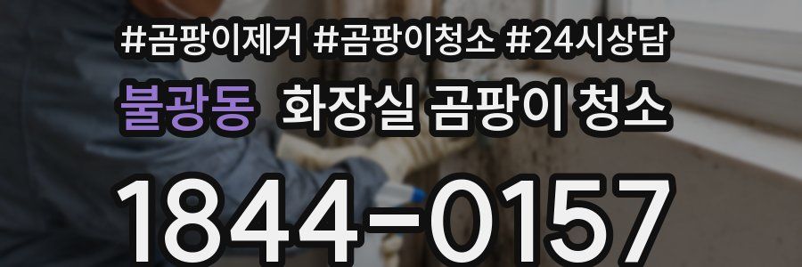 불광동 화장실 곰팡이 청소