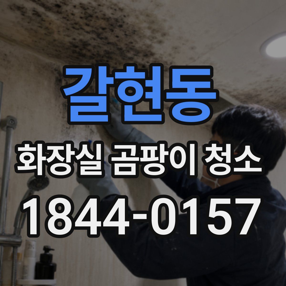 갈현동 화장실 곰팡이 청소