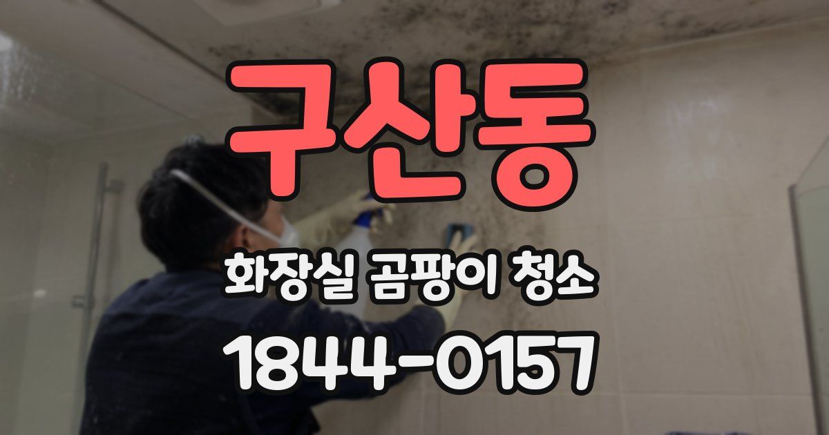 구산동 화장실 곰팡이 청소