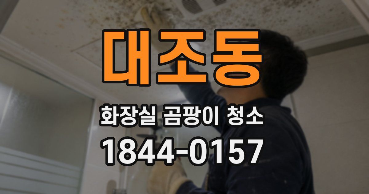 대조동 화장실 곰팡이 청소