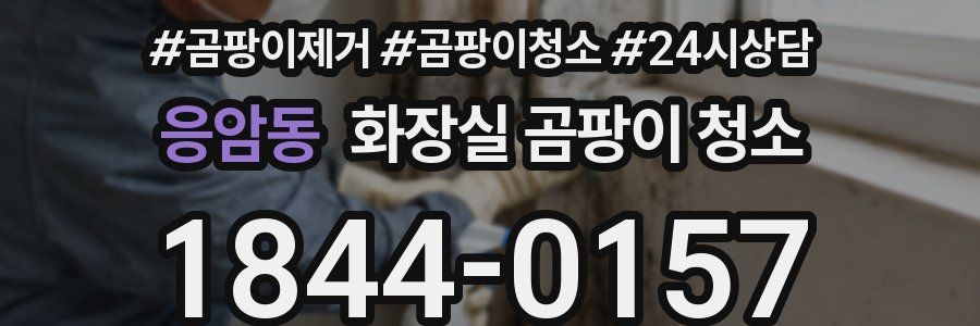 응암동 화장실 곰팡이 청소