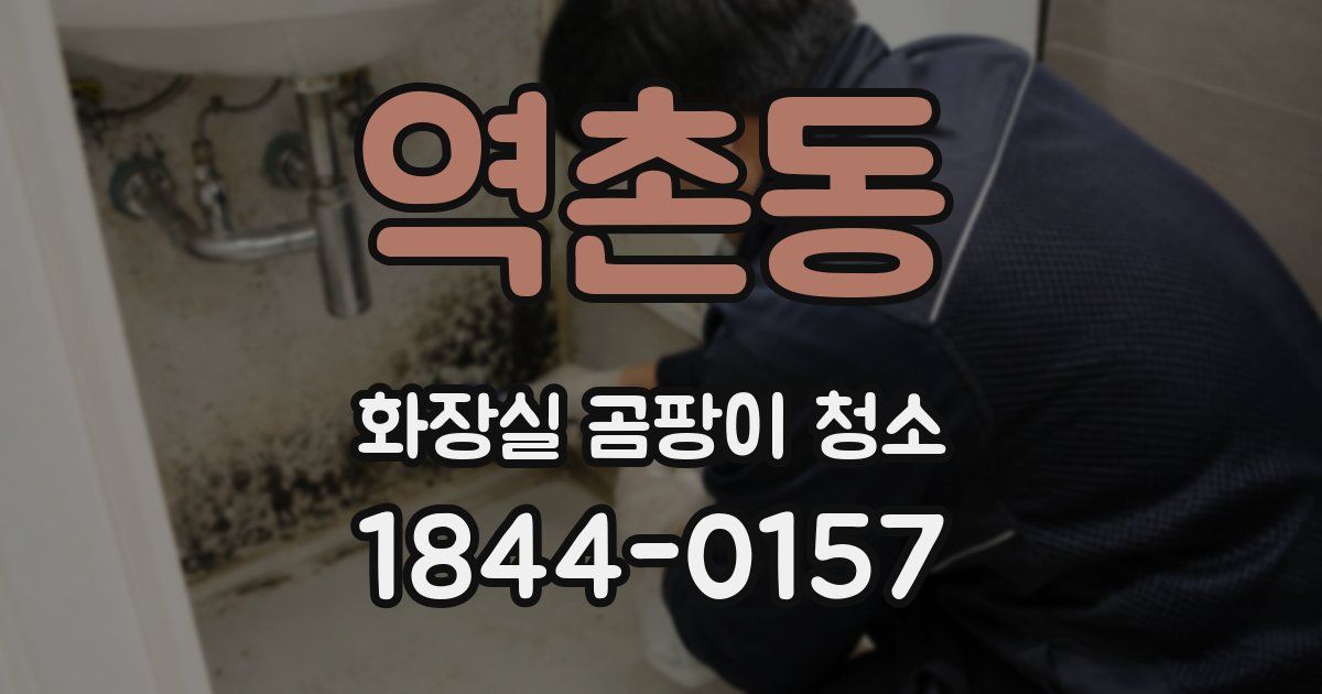 역촌동 화장실 곰팡이 청소