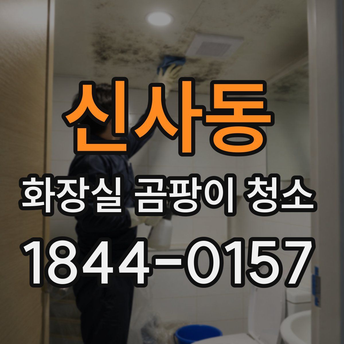 신사동 화장실 곰팡이 청소