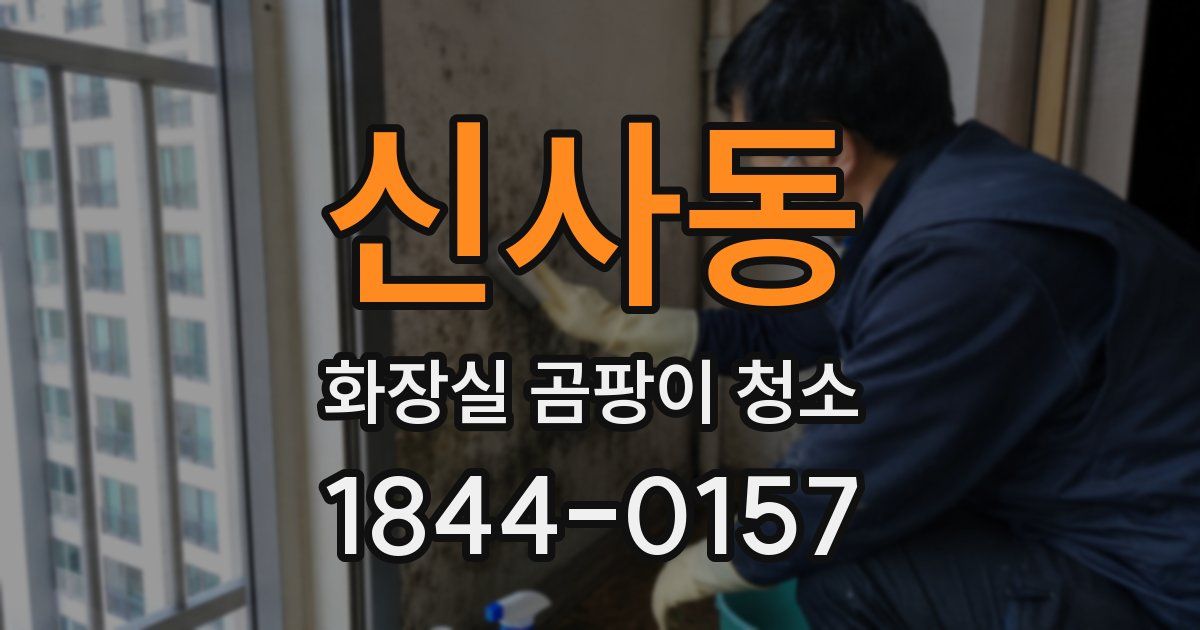 신사동 화장실 곰팡이 청소