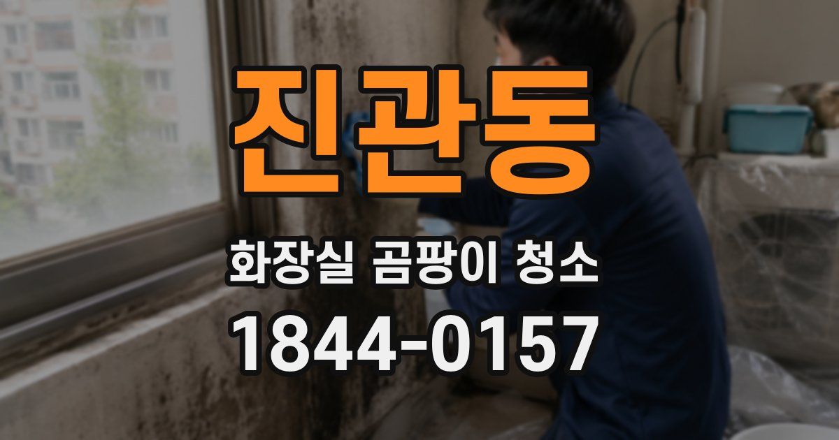 진관동 화장실 곰팡이 청소