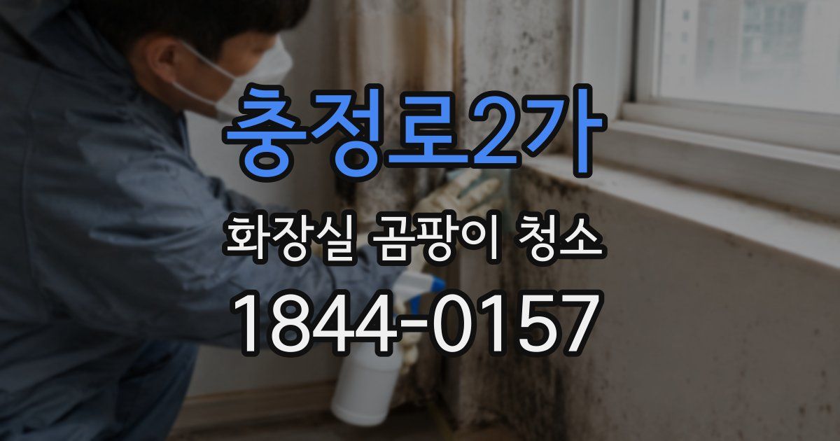 충정로2가 화장실 곰팡이 청소
