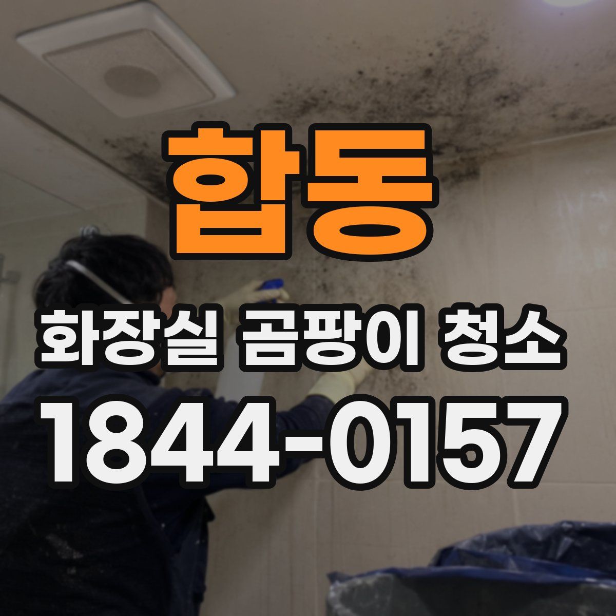 합동 화장실 곰팡이 청소