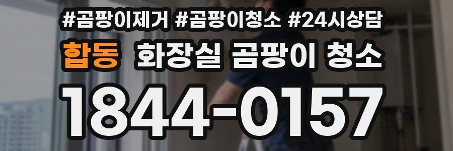 합동 화장실 곰팡이 청소