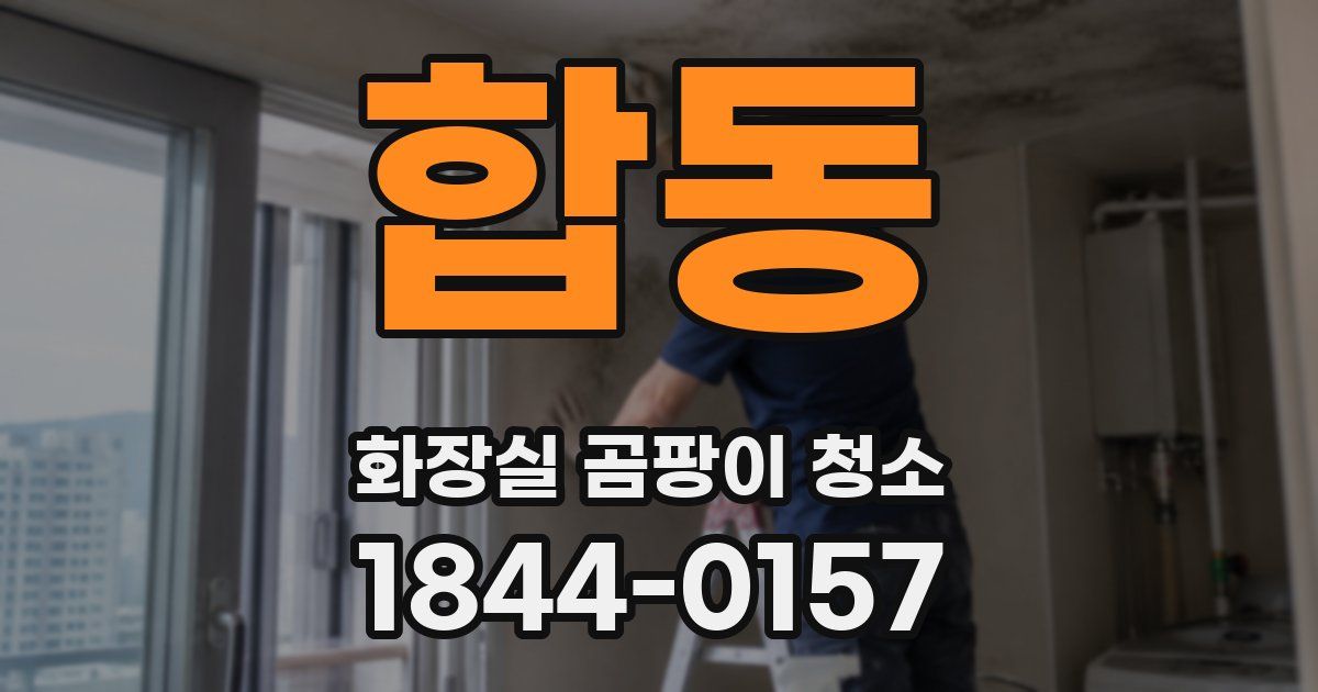합동 화장실 곰팡이 청소