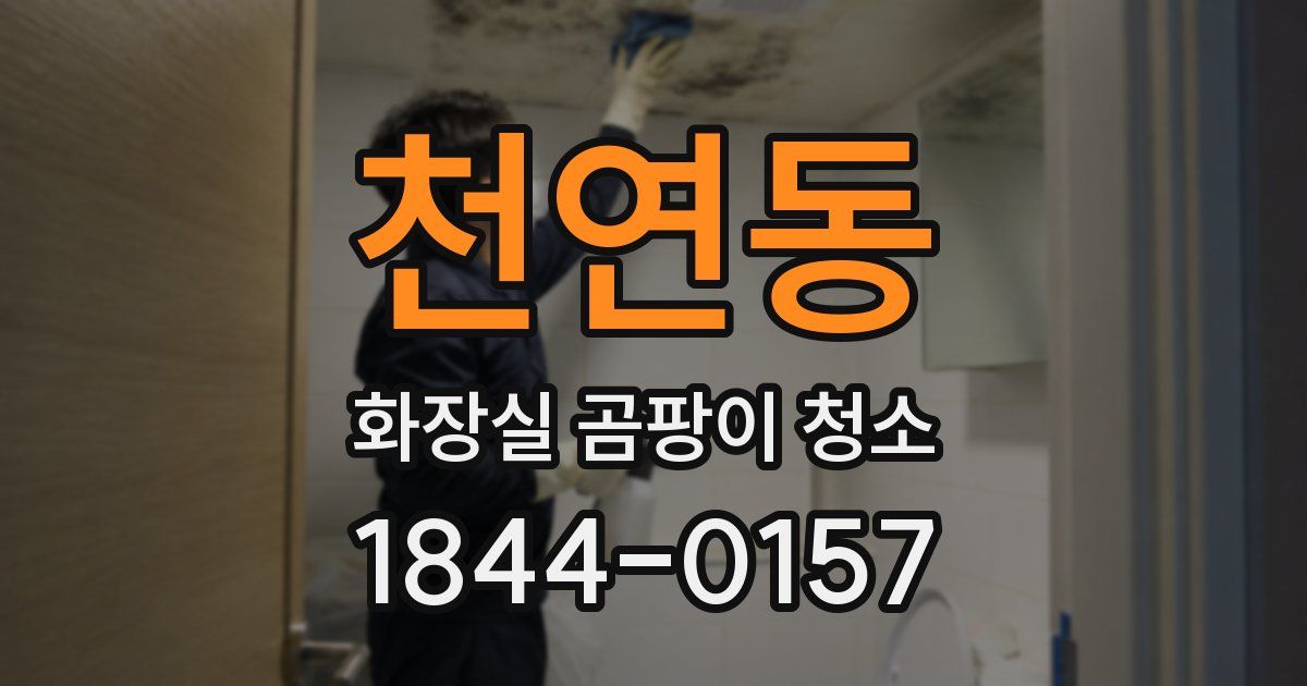 천연동 화장실 곰팡이 청소