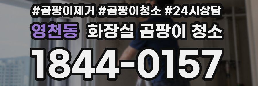 영천동 화장실 곰팡이 청소