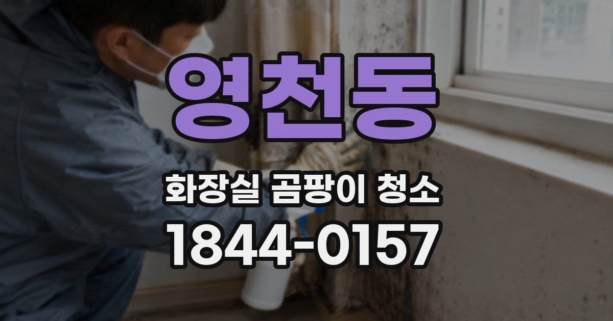 영천동 화장실 곰팡이 청소