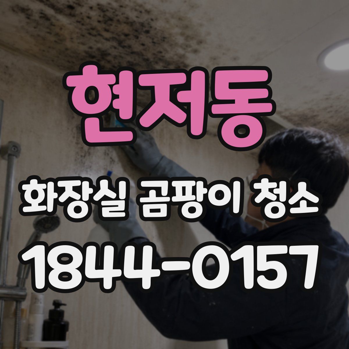 현저동 화장실 곰팡이 청소