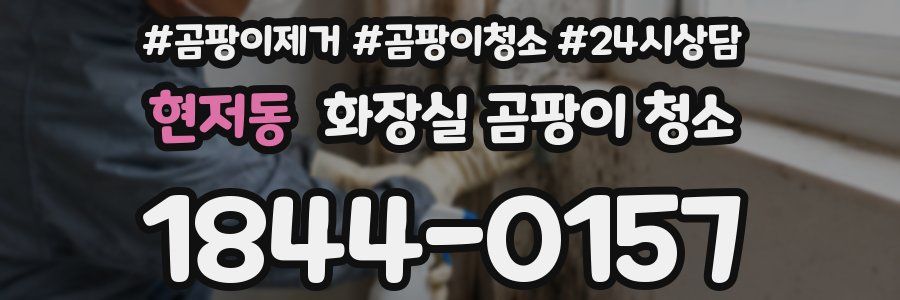 현저동 화장실 곰팡이 청소