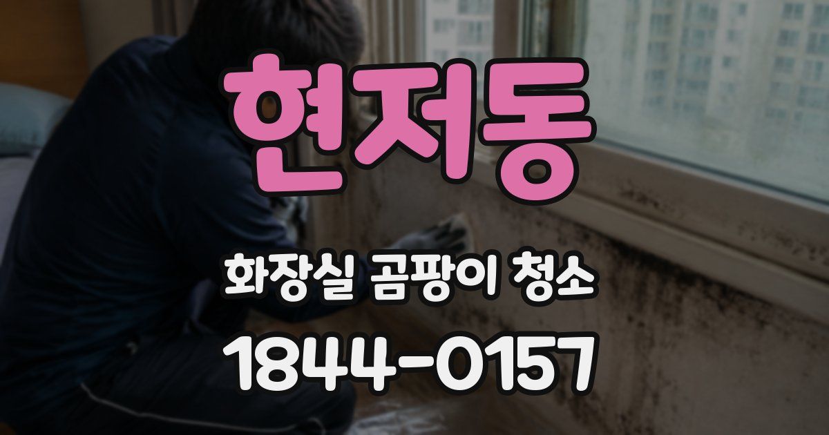 현저동 화장실 곰팡이 청소