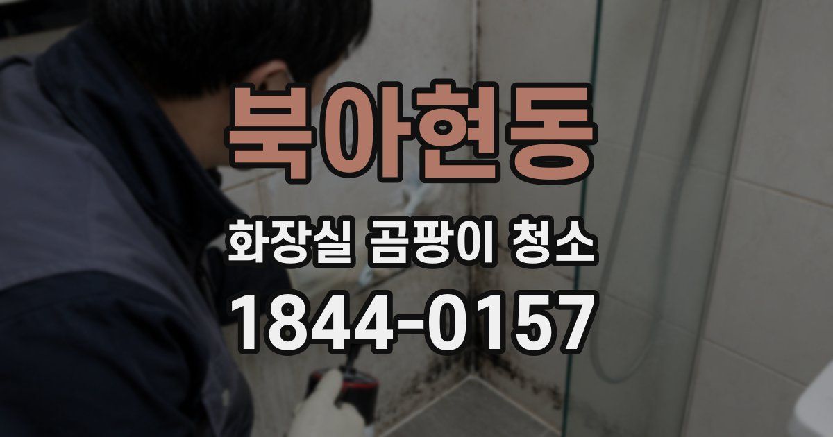 북아현동 화장실 곰팡이 청소