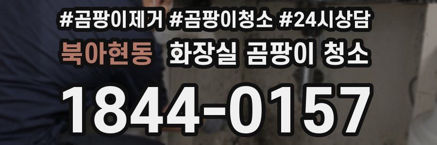 북아현동 화장실 곰팡이 청소