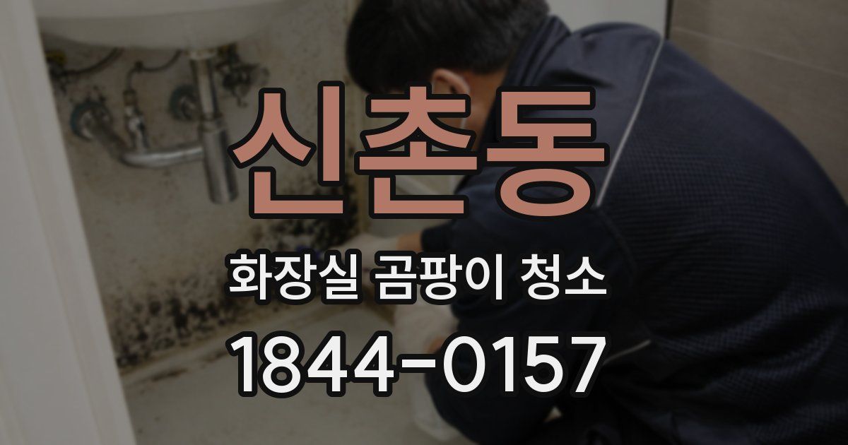 신촌동 화장실 곰팡이 청소