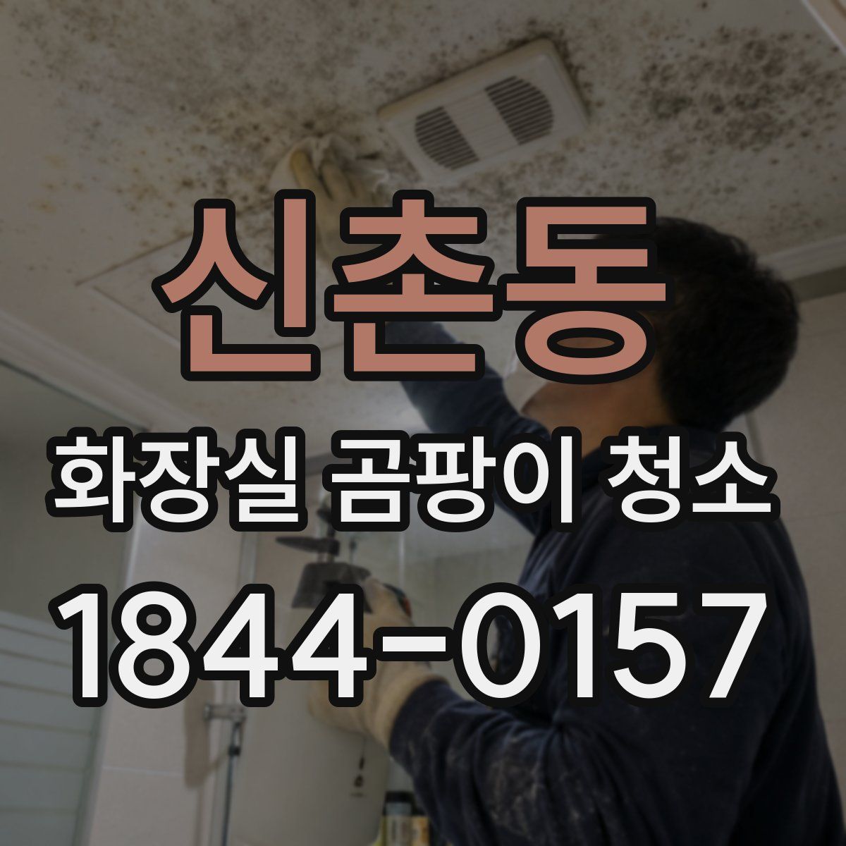 신촌동 화장실 곰팡이 청소