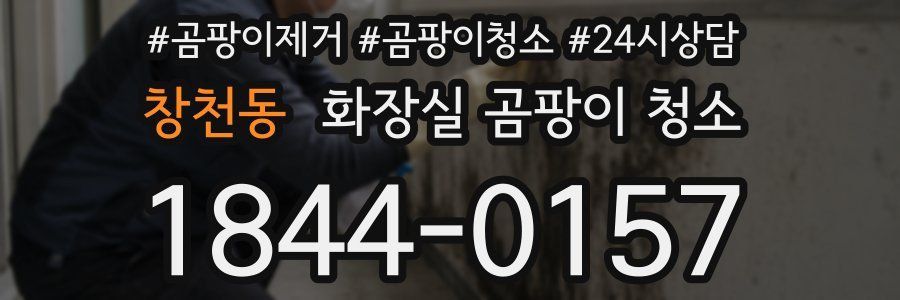 창천동 화장실 곰팡이 청소