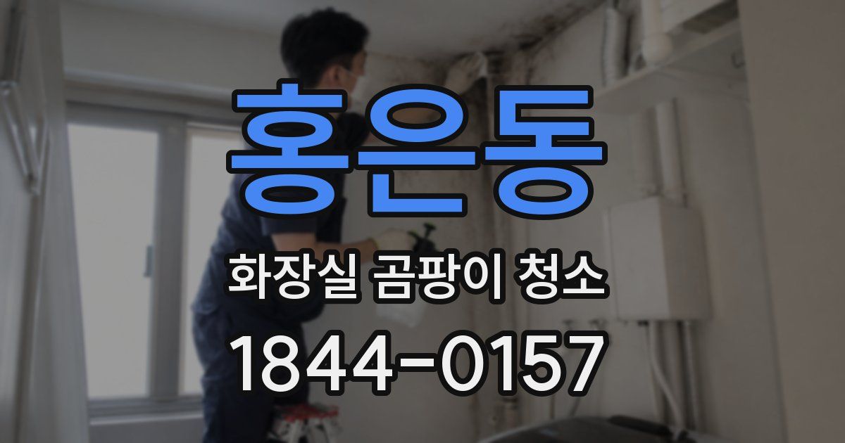 홍은동 화장실 곰팡이 청소