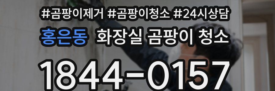 홍은동 화장실 곰팡이 청소