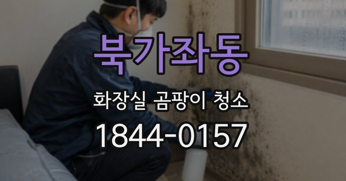 북가좌동 화장실 곰팡이 청소