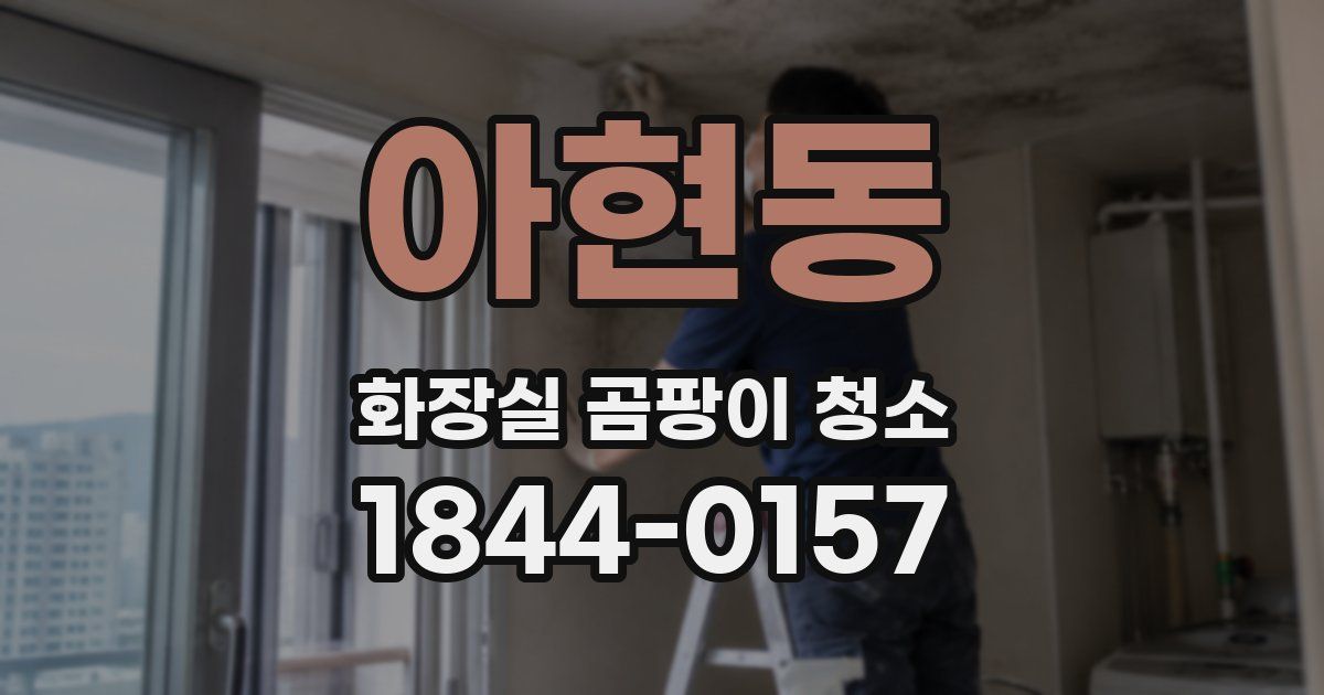 아현동 화장실 곰팡이 청소