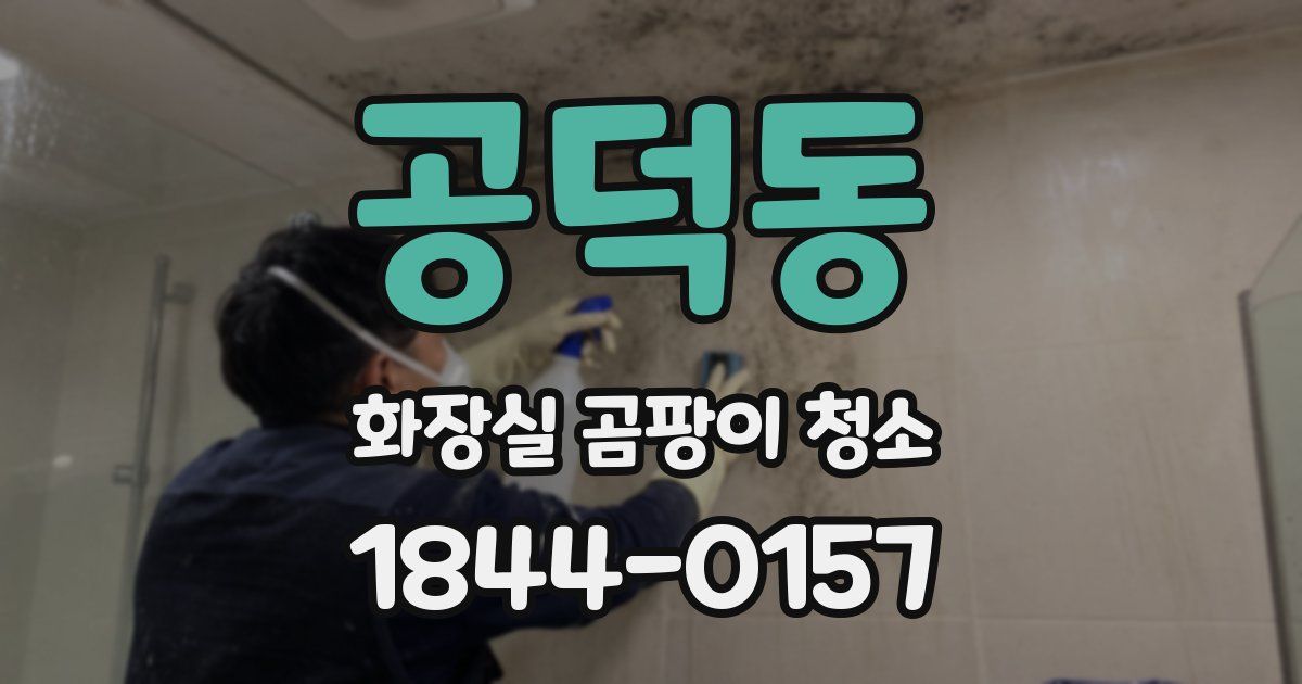공덕동 화장실 곰팡이 청소