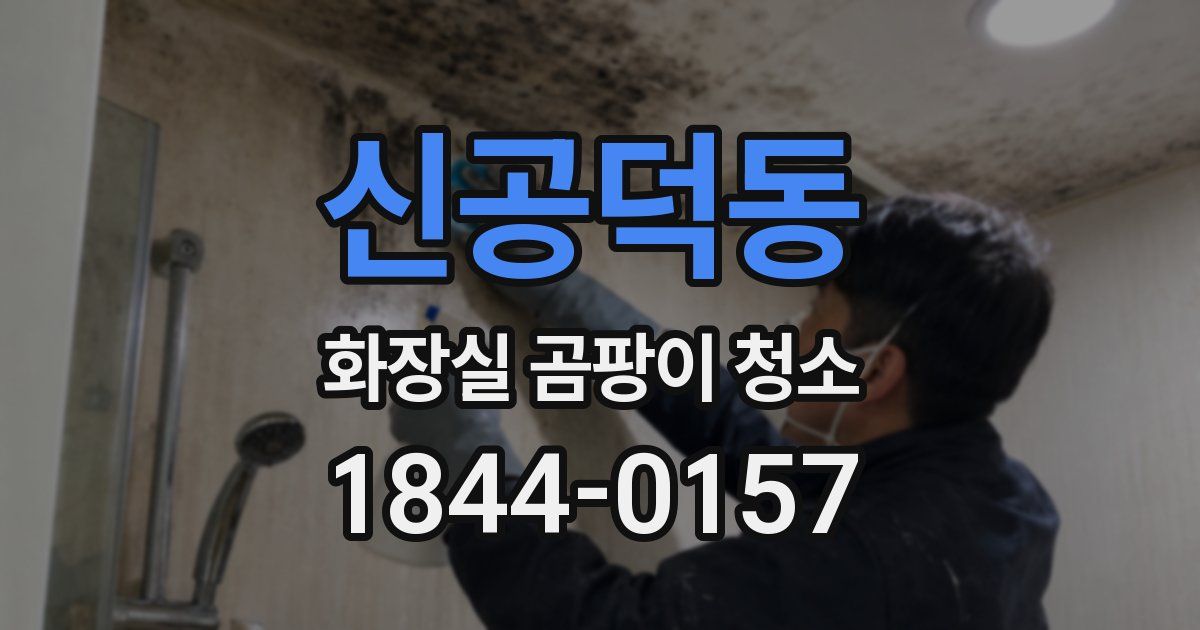 신공덕동 화장실 곰팡이 청소